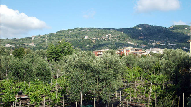 75215000-casarlano.jpg