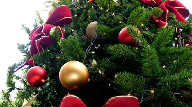 92333879-medium-albero-di-natale-3.jpg