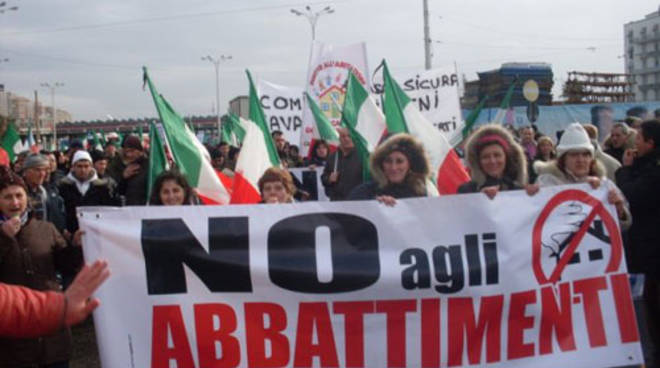 monti-lattari-protesta-ieri-a-napoli-contro-gli-abbattimenti.jpg