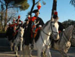 brillante-operazione-dei-carabinieri.jpg