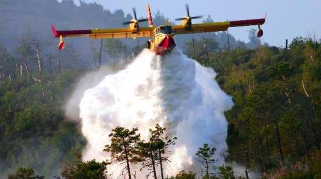 Canadair_In_Azione_2.jpg