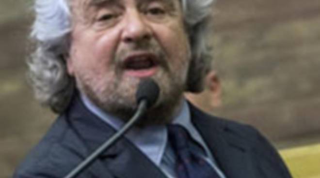 grillo.png