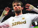 Michu-Swansea.jpg