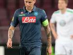 hamsik12.jpg