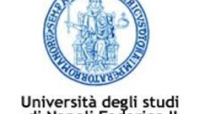 Università degli studi di Napoli Federico II