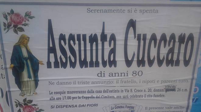 Assunta Cuccaro .jpg