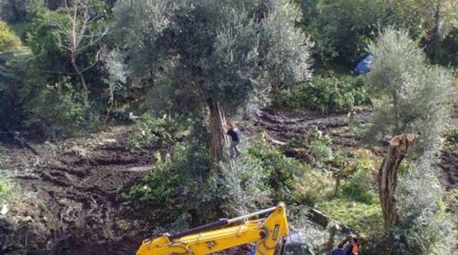 sorrento-processo-parcheggio-vico-rota-record-dei-rinvii-siamo-al-nono.jpg