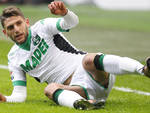 berardi1.jpg