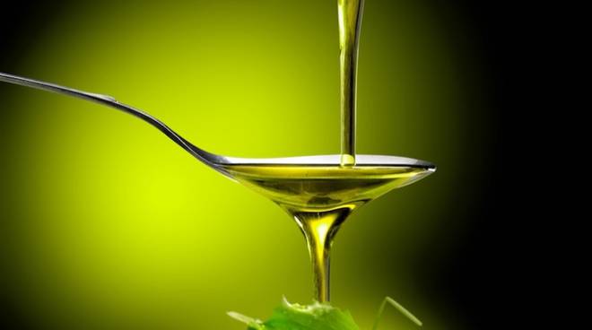 olio-oliva-ecopim-studio-fotolia-750x506.jpeg