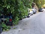 Positano incidente alla Chiesa Nuova , auto va nei paletti in Via Colombo e a Montepertuso albero sfonda tettuccio FOTO