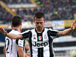 pjaNIC4.jpg