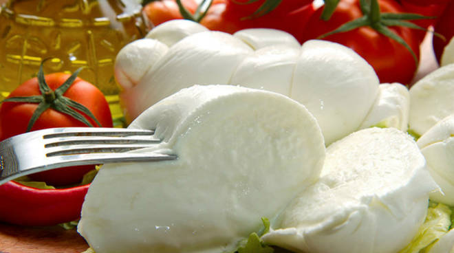 mozzarella