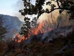 incendio-sant-angelo-versante-cava-dei-tirreni