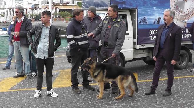 Pasquetta a Capri, imbarchi e sbarchi presidiati dalle forze dell’ordine
