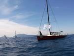 rolex-capri-sailing-week-3221497