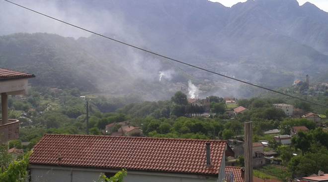 tramonti fumo agricoltura castanicoltori torymus