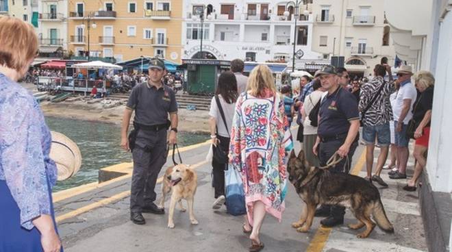 Cani antidroga a Capri