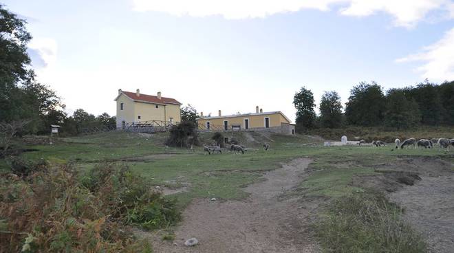 Vico Equense: Pescheria la Perla, qualità e cortesia