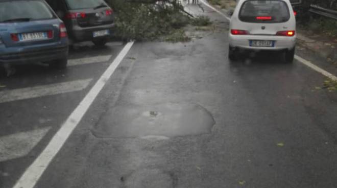 Castellammare caos traffico per Sorrento per caduta albero uscita Quisisana