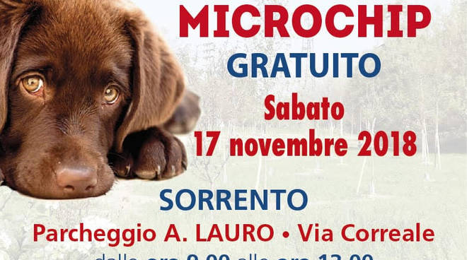 giornata del microcip gratuito