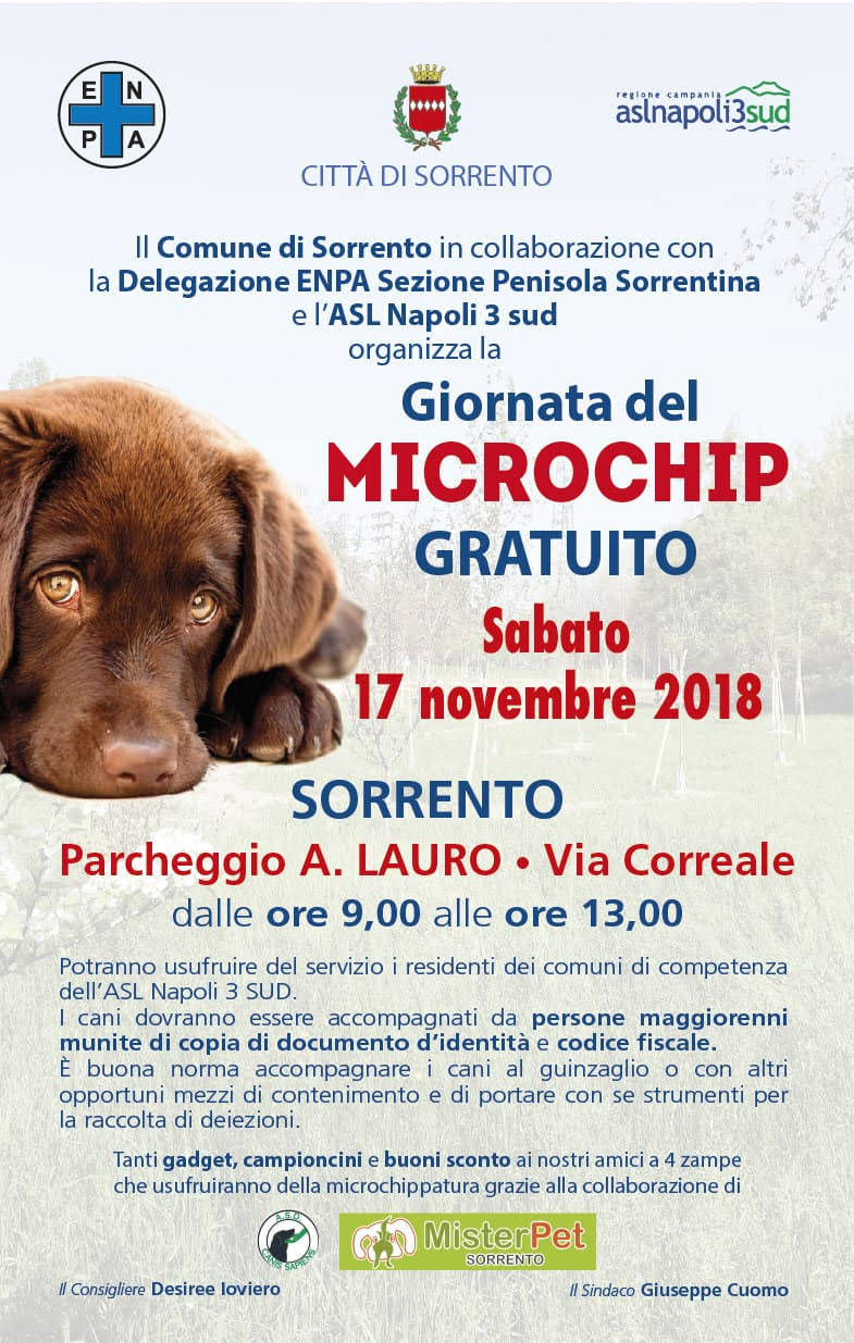 giornata del microcip gratuito