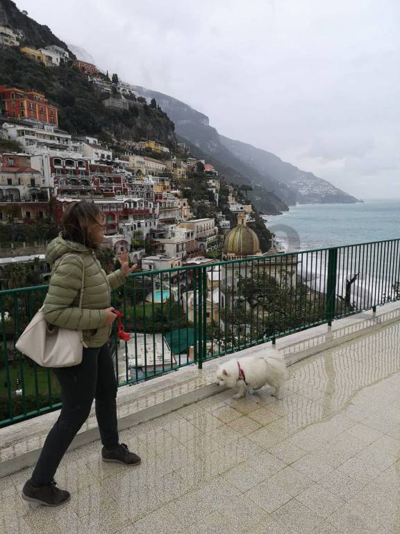 positano-associazione-posidonia-a-lavoro-per-la-nuova-biblioteca-comunale-alle-elementari-3237527