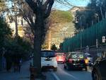 traffico a via carlo amalfi