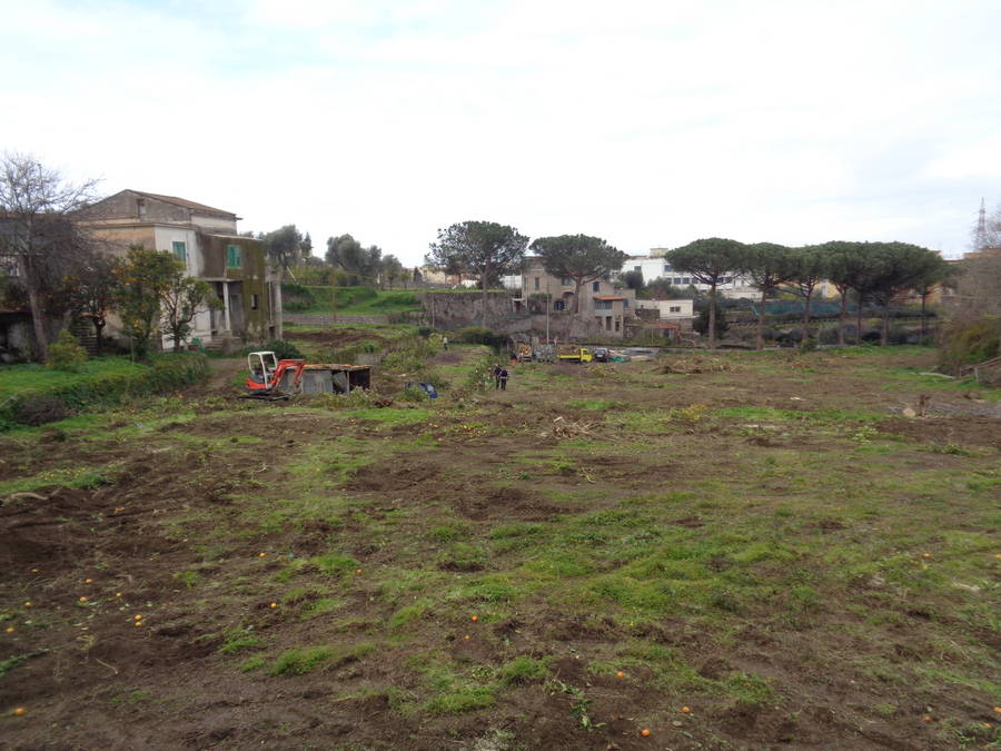 Sorrento. Ennesima distruzione dell'uomo all'ambiente: centrale elettrica al posto degli alberi