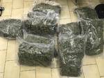 salerno polizia di stato marijuana