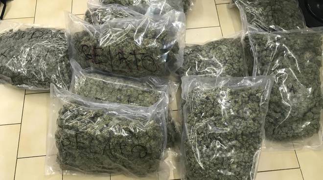 salerno polizia di stato marijuana