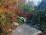 STRADA CHE PORTA AL CIMITERO DI MOIANO DIMENTICATA DA TUTTI