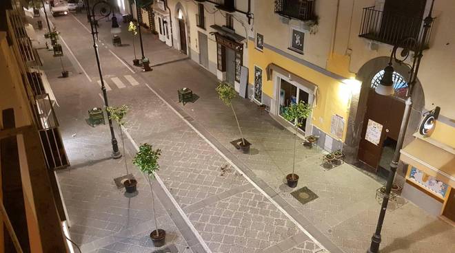 Alberi di aranci a Sorrento