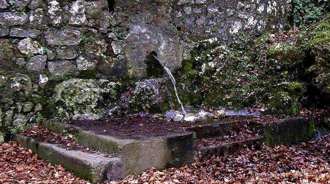 VICO EQUENSE: INQUINAMENTO FECALE PER LE FONTI D'ACQUA DI LONTRA E SPERLONGA