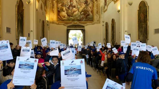 Capri - Delfini guardiani delle isole minori