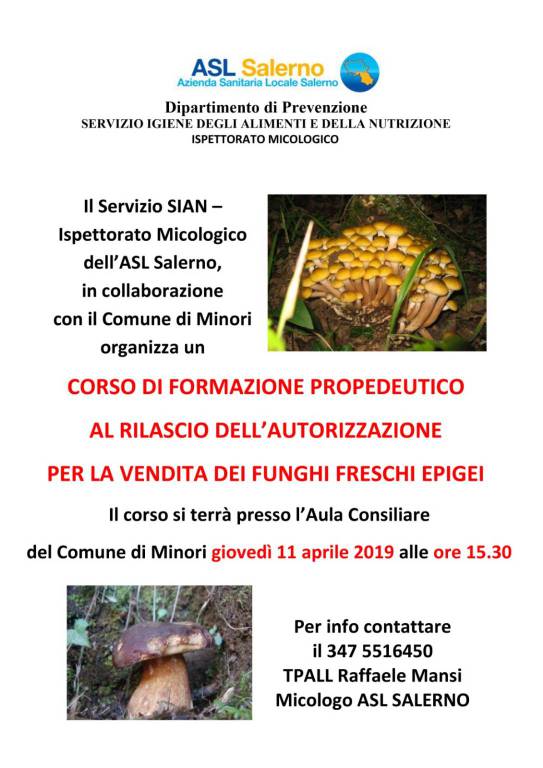 corso per la raccolta funghi 