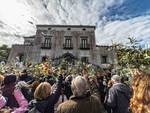 Domenica delle Palme 2019 in Penisola Sorrentina