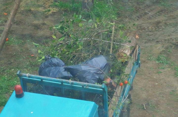 Sorrento. Agrumeto in via Marziale: sistemazione del fondo agricolo o futuro parcheggio?