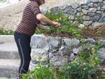 Positano: Il progetto adotta un giardino a Nocelle