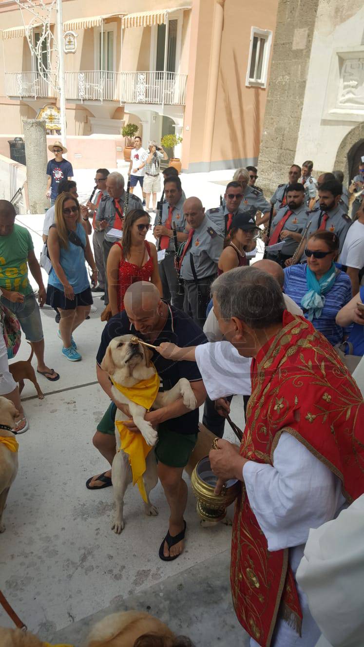 Benedizione dei cani a Positano