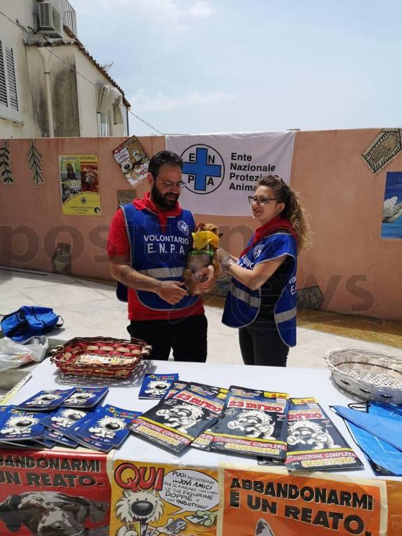 Enpa per i cagnolini a Positano 