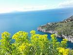 Campania, pescherecci per ripulire il mare.