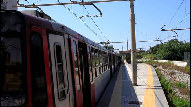 Treno investe un cane