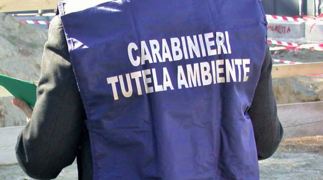 noe carabinieri