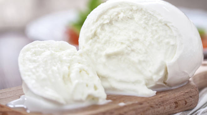 Mozzarella di bufala contraffatta