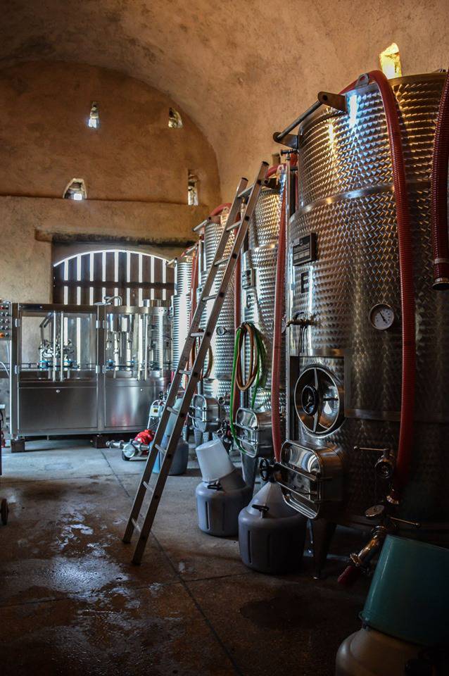 Vico Equense. Studenti in vigna per raccogliere, vendemmiare e valorizzare l’Uva di Sabato