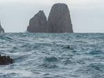 Capri. Nuotatore sfida il mare in tempesta