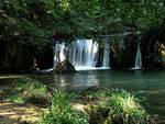 A Roma il 17 novembre alla scoperta del Bosco di Biancaneve