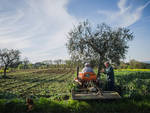 Benevento: Adriana Gallinella, Angelo Masone e Salvatore Purificato sono i vincitori del 29° Concorso fotografico “Immagini del Sannio rurale 2020”