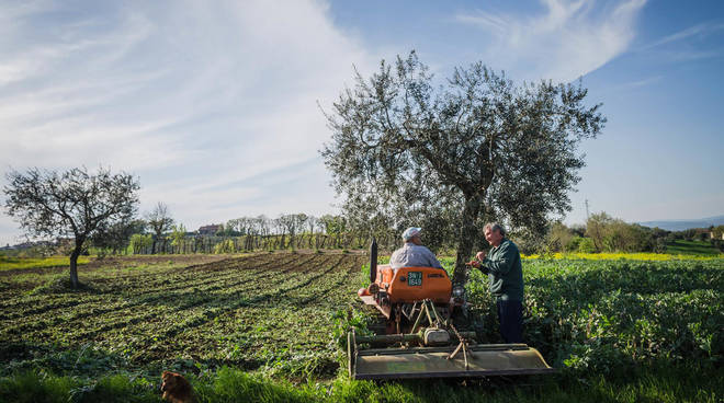 Benevento: Adriana Gallinella, Angelo Masone e Salvatore Purificato sono i vincitori del 29° Concorso fotografico “Immagini del Sannio rurale 2020”