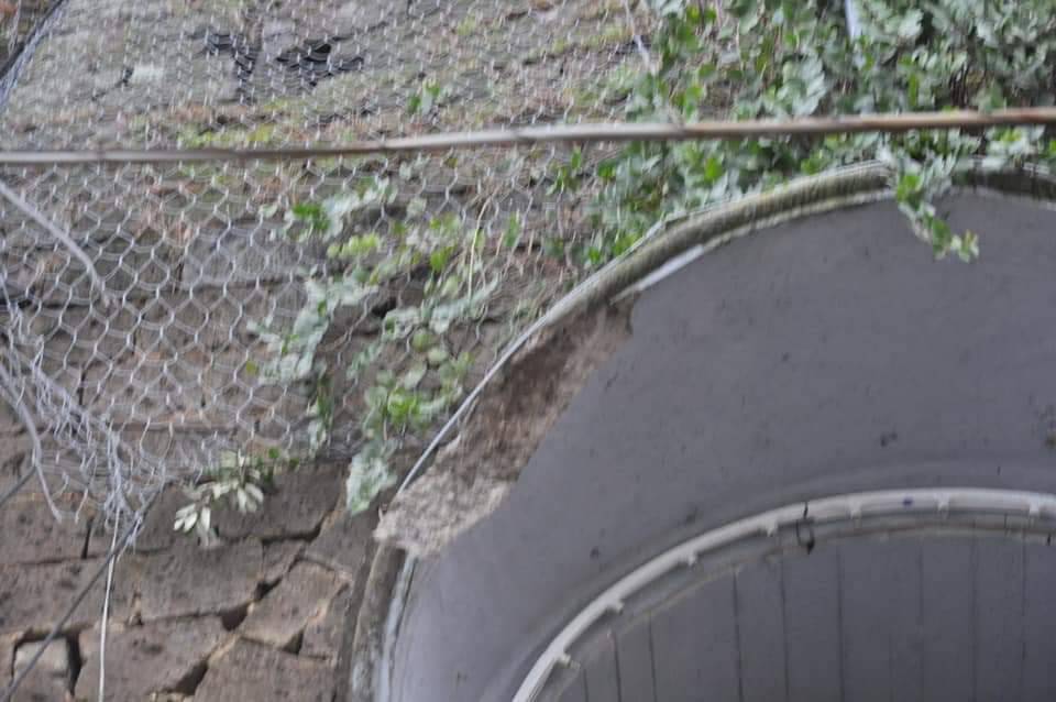 Sorrento albero caduto Villa Tritone